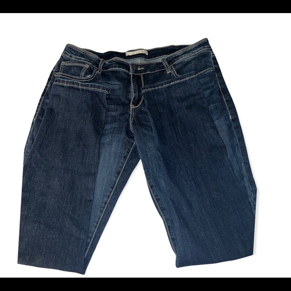 Day trip Virgo skinny 33R 15/16